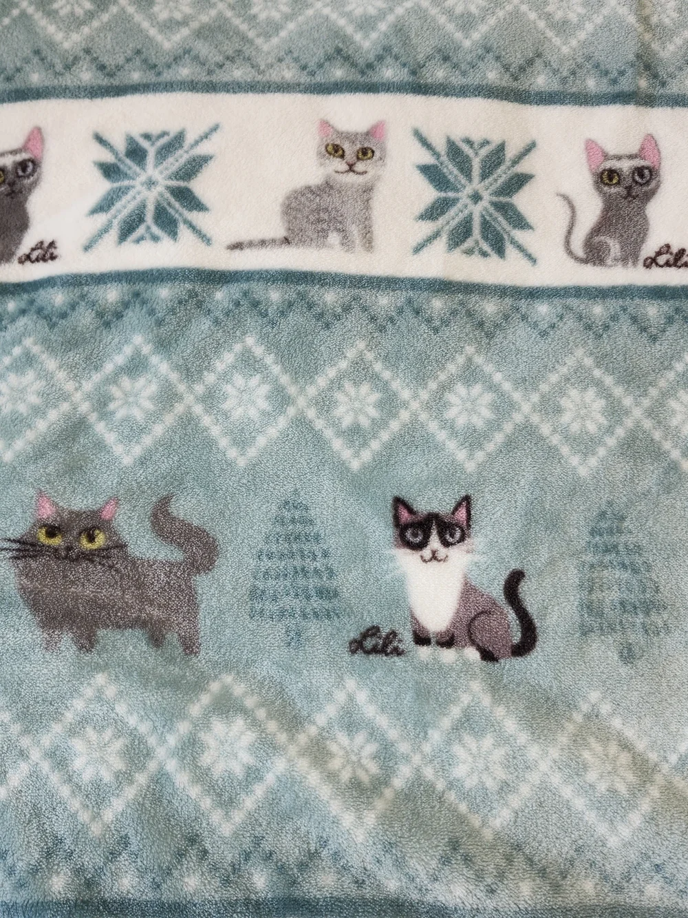 Berkshire Blanket Cat Creations Lili Chin Plush Throw Mint Teal Gray Fair Isle